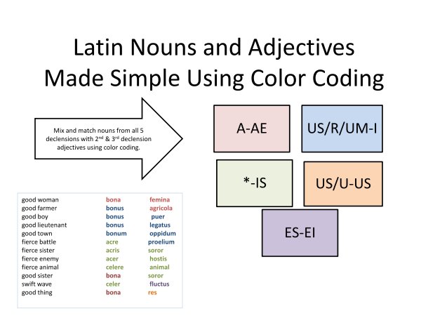 Latin Declension And Conjugation Charts